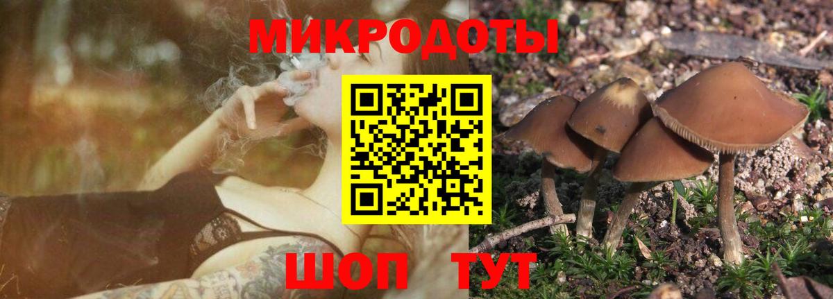Псилоцибиновые грибы MAGIC MUSHROOMS  Вход с VPN  Псков 